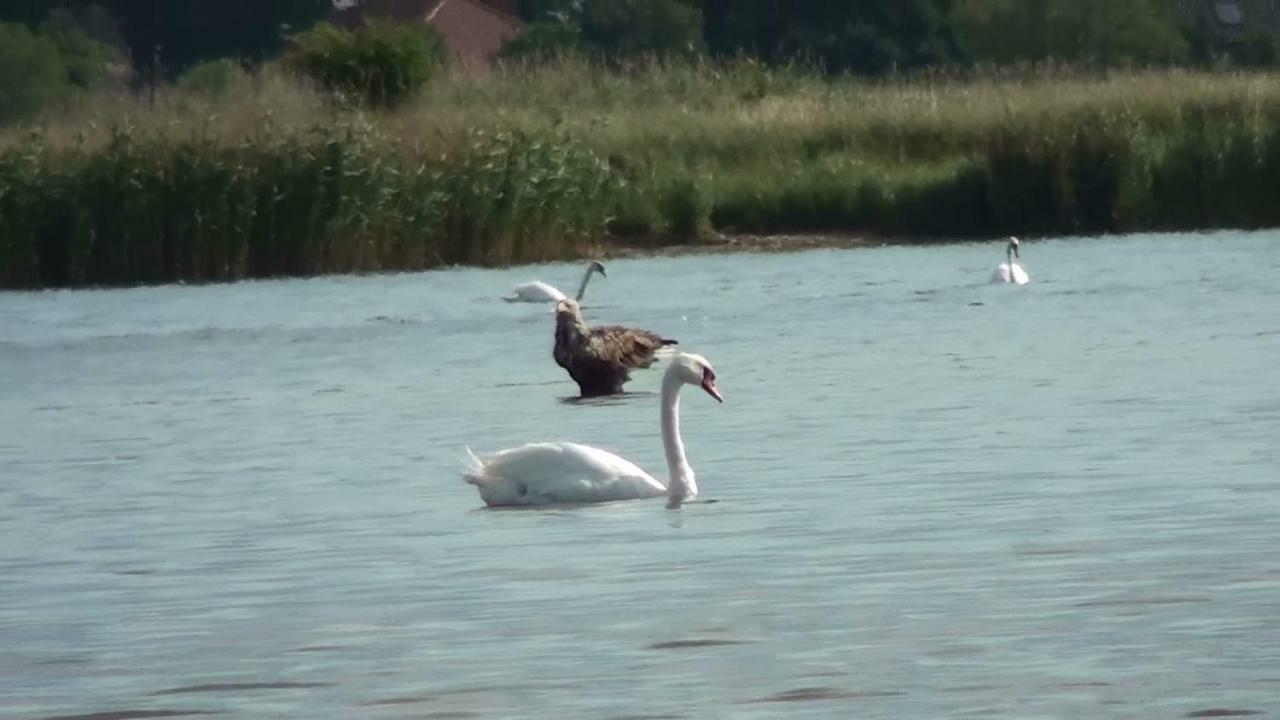 Zacisze Domki Letniskowe Karsibor Świnoujście  Eksteriør billede