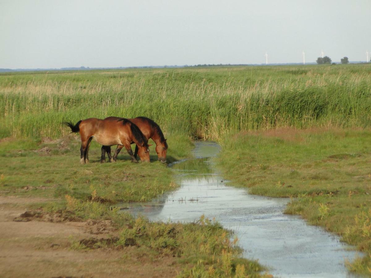 Zacisze Domki Letniskowe Karsibor Świnoujście  Eksteriør billede